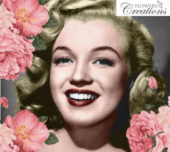Pink Roses Marilyn Monroe
